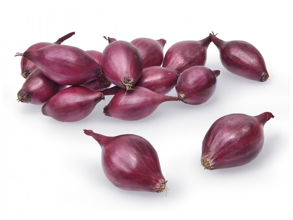 Cibule sazečka Akado